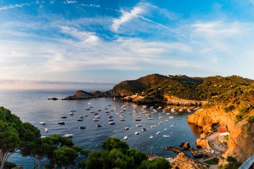 Precioso Apartmento Sobre El Mar, Cap Sa Sal, Begur, Girona Dış mekan fotoğraf